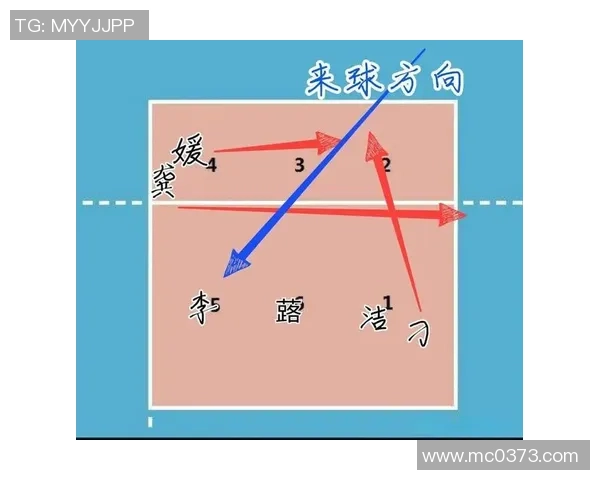 赛后分析：广州排球队与北京排球队速度对比及战术探讨