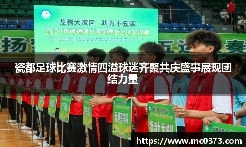 瓷都足球比赛激情四溢球迷齐聚共庆盛事展现团结力量